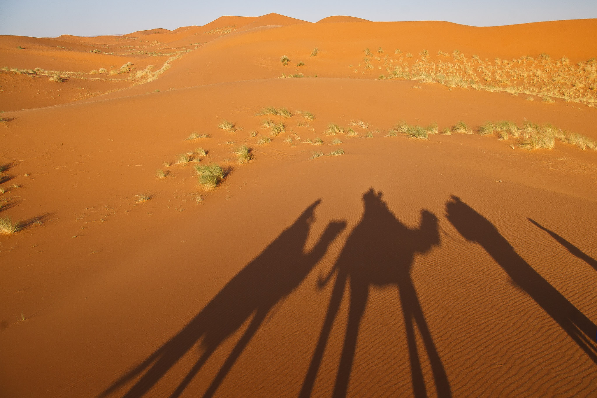 Erg Chebbi Sunset Camel Trek & Desert Camp
